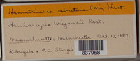 Image Associated With the Occurence